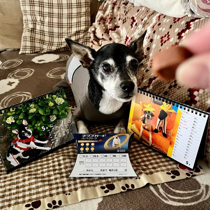 4509512d 5e36 49ec a461 932cf52727f8 1651360531566