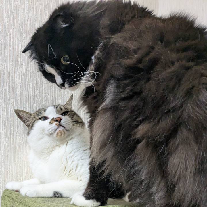 45099daa 7ebb 44df 95c7 58a86851b11a 1746963861739