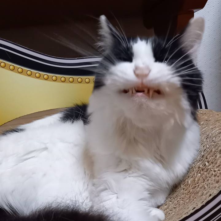 4509f277 b87e 41a2 8a4b 7128e1a0527b 1686826785519