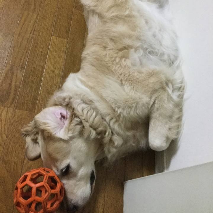 450a5654 e145 477b 8a7b 0fe0285e8143 1561641166417