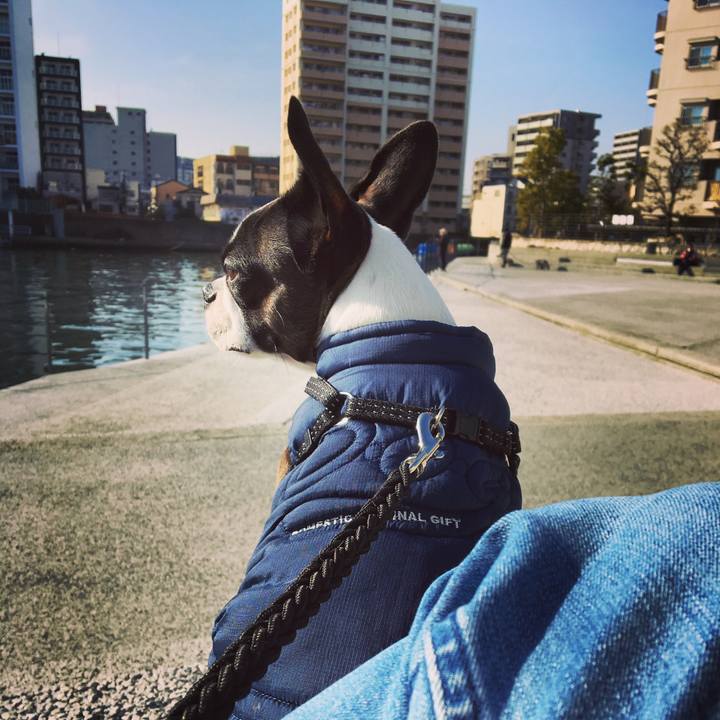 450a63c5 789f 43b3 8d1b 47251b41c1d6 1520051684011