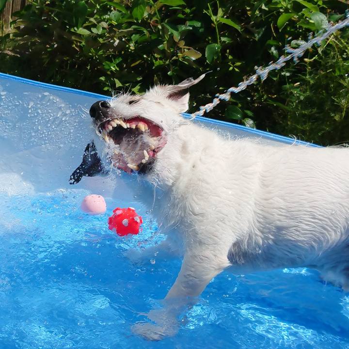 450a8283 ff78 4f8b a56d 52e926de9506 1535241031627