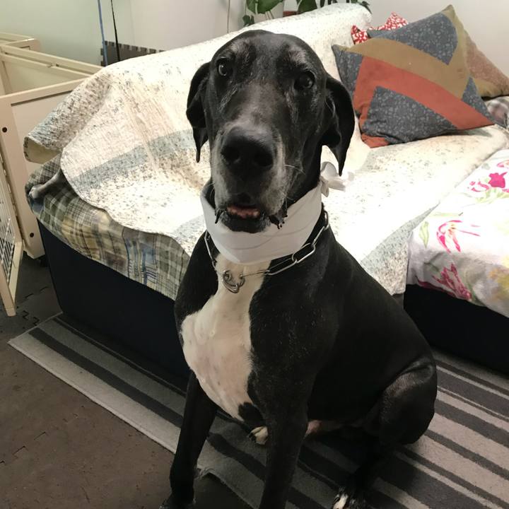 450ac1f5 f392 4790 b922 421ca3735421 1532213861958