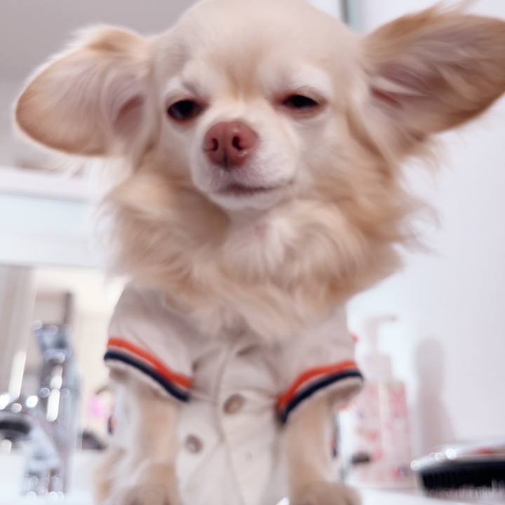 450ac526 8bc0 4ceb 9681 44d0619644f1 1744011551409