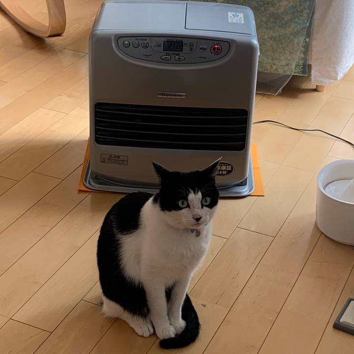 450acbb0 5efc 4d5d a53c 9a72c59e4da0 1668987427184