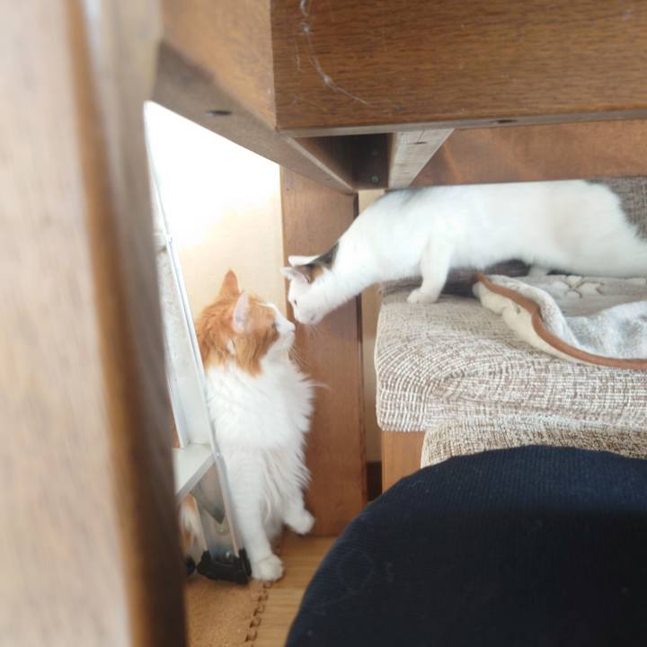 450ad7c1 3eeb 4263 94d5 9db8daf05cc9 1696656301711