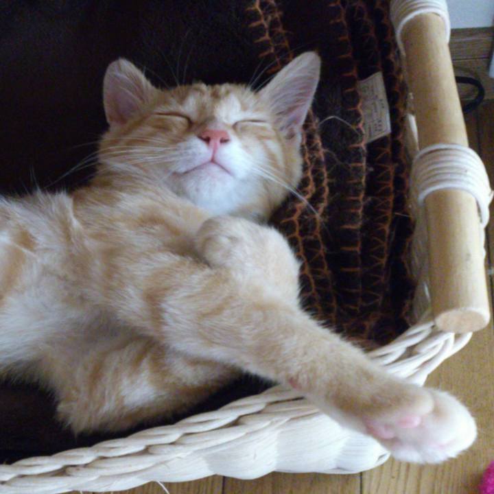 450b2380 e462 4225 9c48 7d0d17c2a7ef 1535681276745