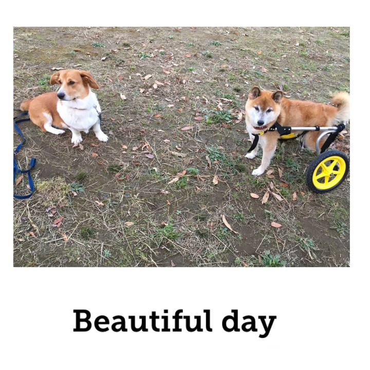 450b3059 babf 433f 9f8f 504e2b75ee6c 1606661222055