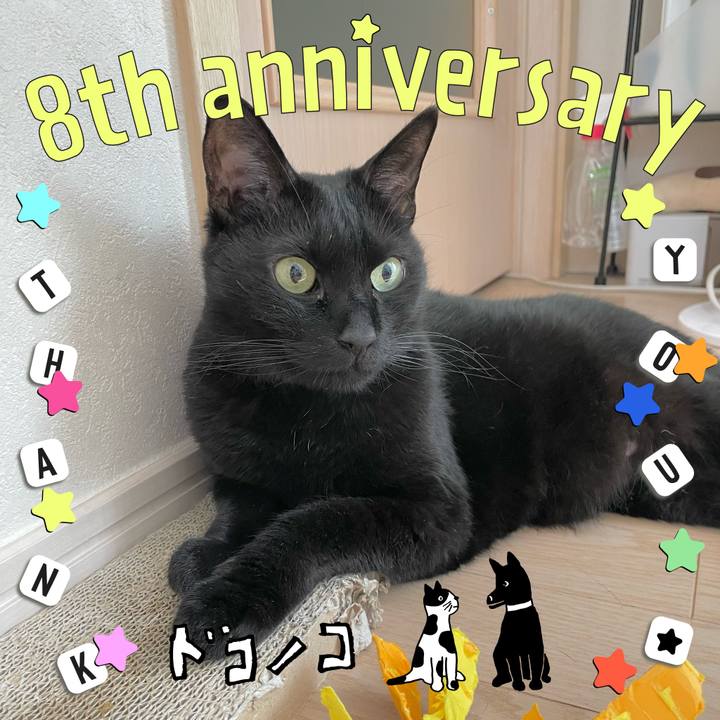 450b3d5e 86c1 4333 9c52 4c1bdacc9f33 1717589846182