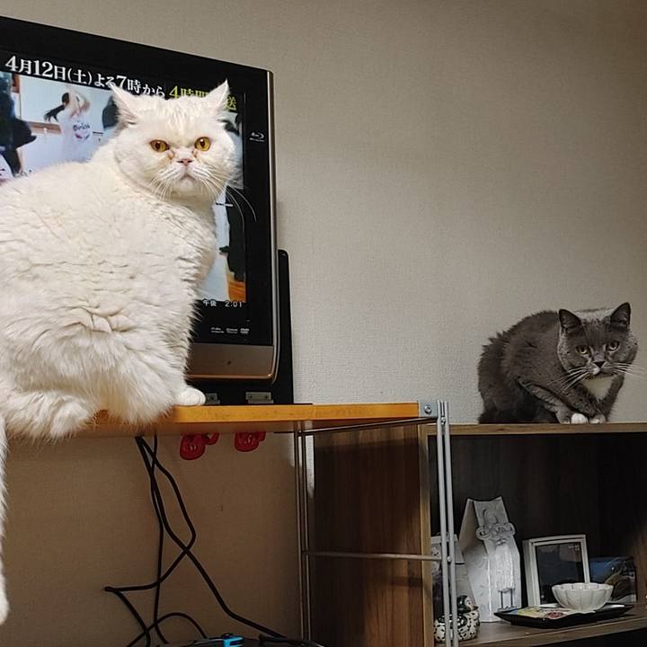 450b3eca b092 47d3 828a 58c9b6532dc5 1757048596379