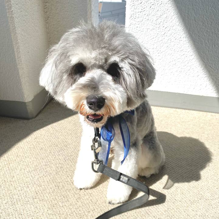 450b6dfc 4e30 4a9b 9e90 90aa11afbee5 1615727478327