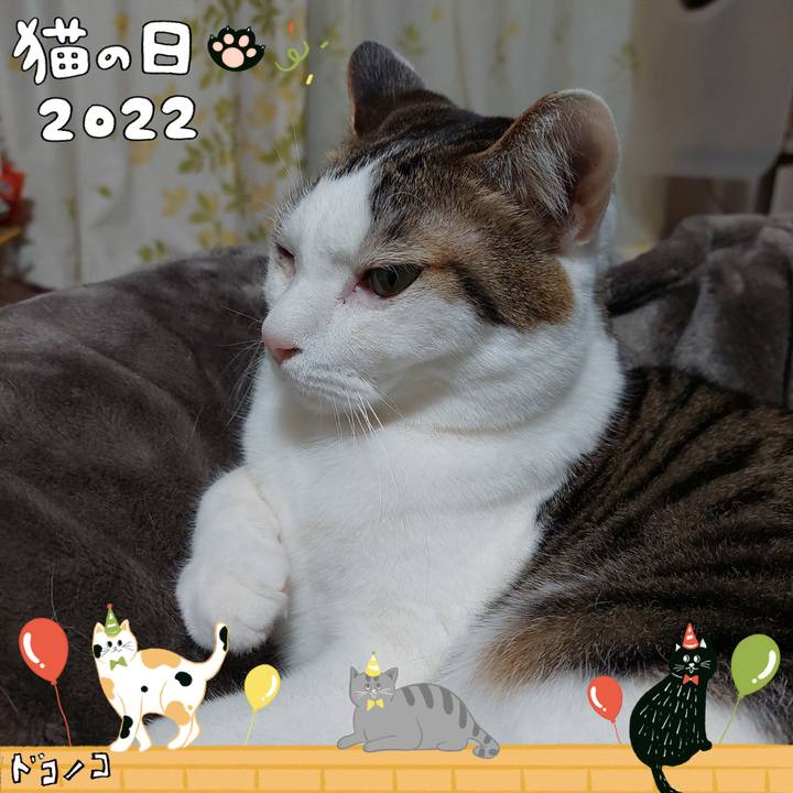 450c025e e3f8 4630 9a0e 1f15186ad307 1645535976874