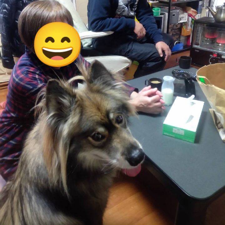 450c04df b023 47c2 9c3b b046e31ab144 1638433061035