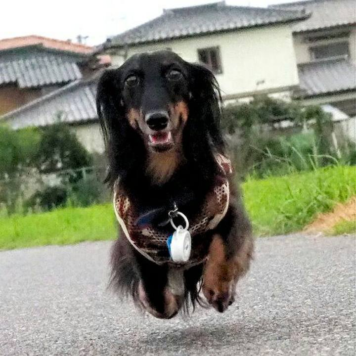 450c0fa2 4abc 4203 844a b1d082925c50 1536448181457