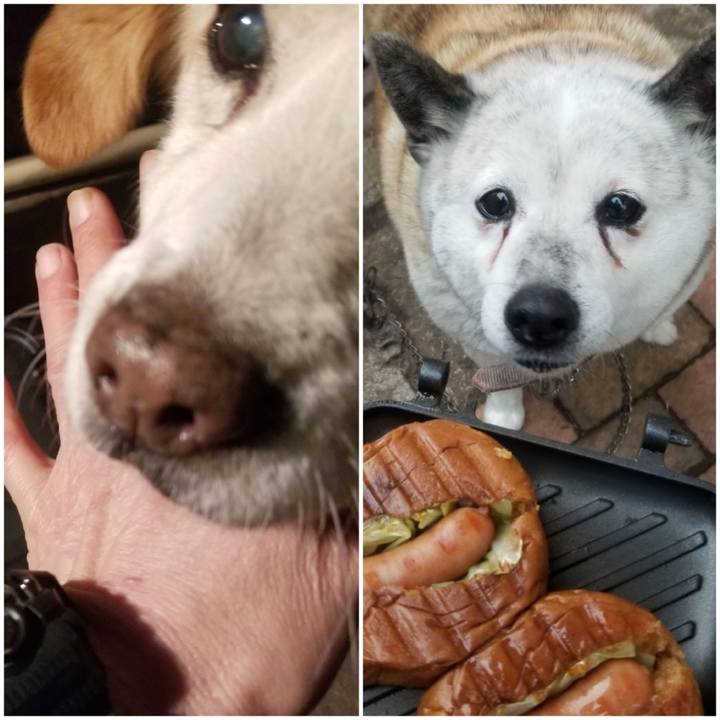 450c27dd 4af2 4f76 ba39 825659ebf11e 1752386217665