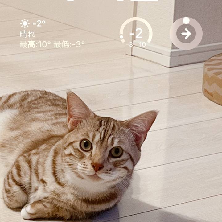 450c30d9 366f 4cac afb9 15bec39cec0b 1673388829913