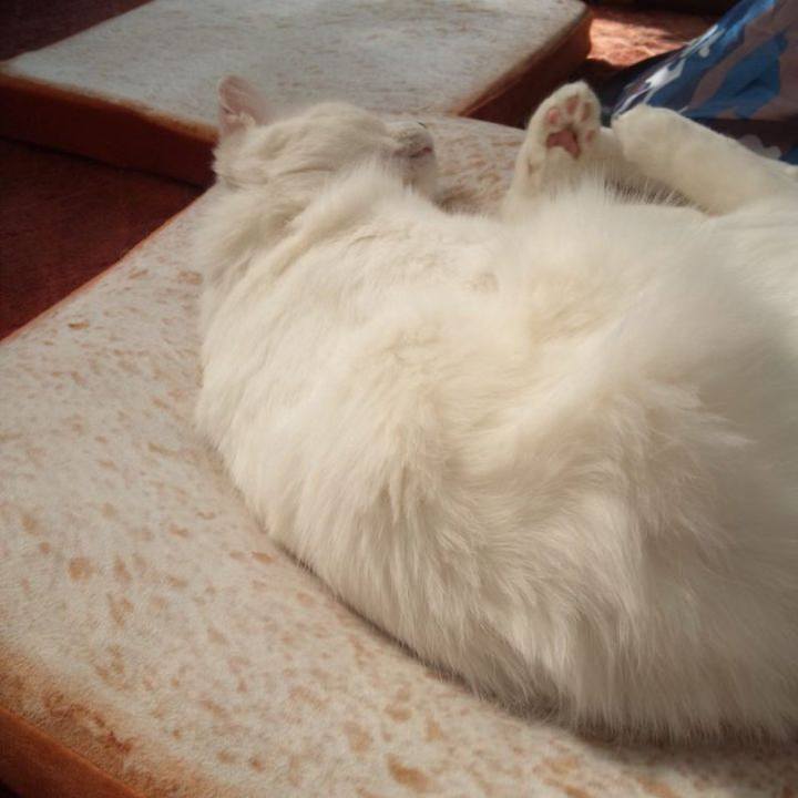 450c5521 de93 42ab b569 a169bded447c 1683282118689