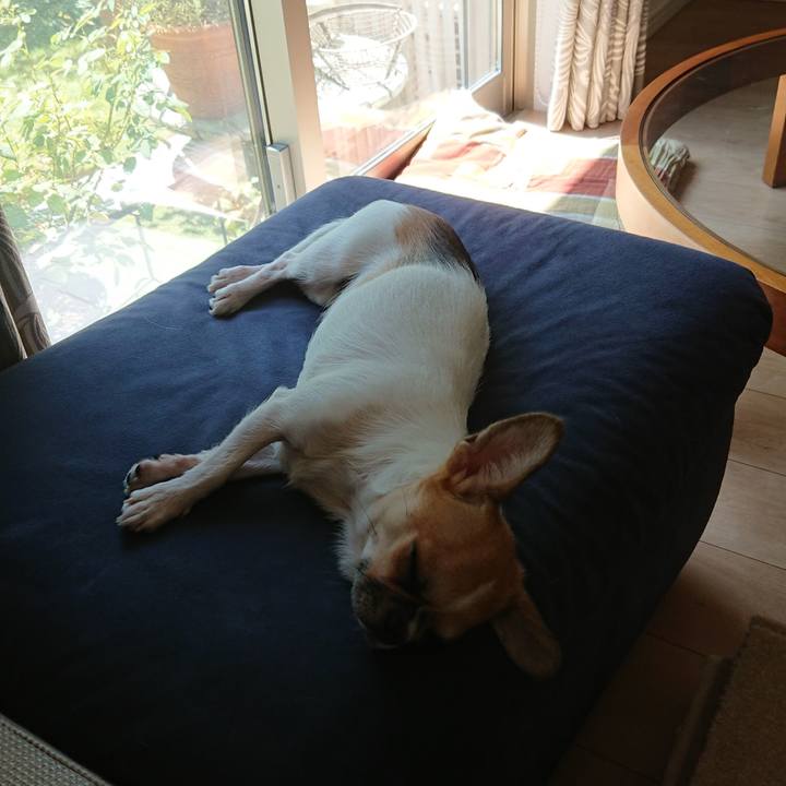 450c75b3 d934 42e4 8b01 41e0b8891f32 1535266996166