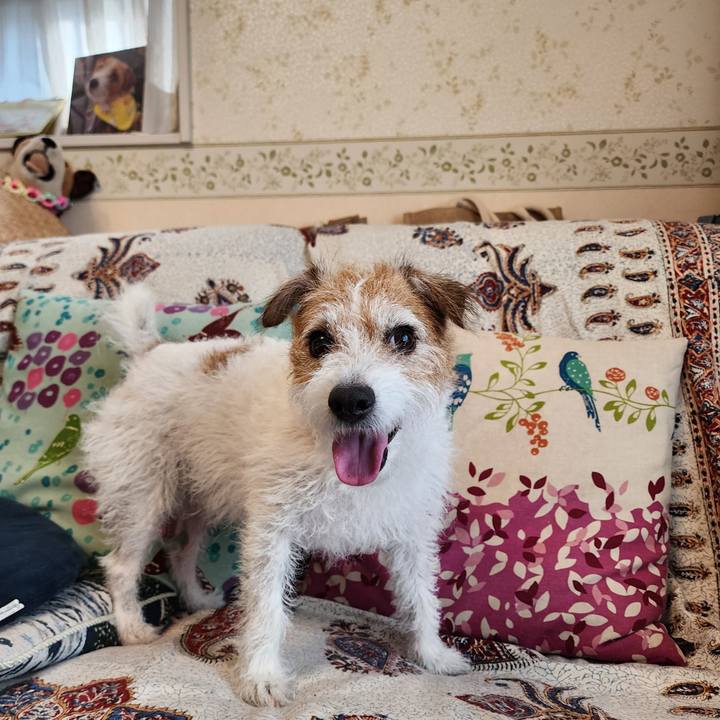 450c8dbc b27e 4655 a55a 330b80567e86 1756450353894