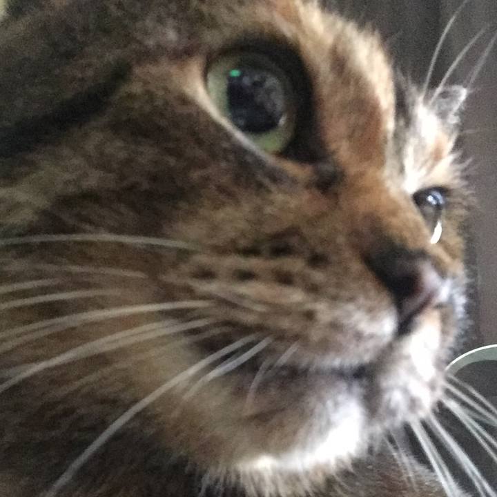 450ce8c4 2c73 4f92 af95 e5b39e366bd5 1519172148076