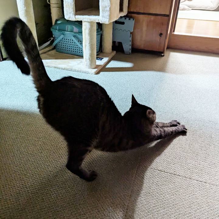 450ce92d 800f 4b1d 9b8d b4dc0bb51c06 1739527469342