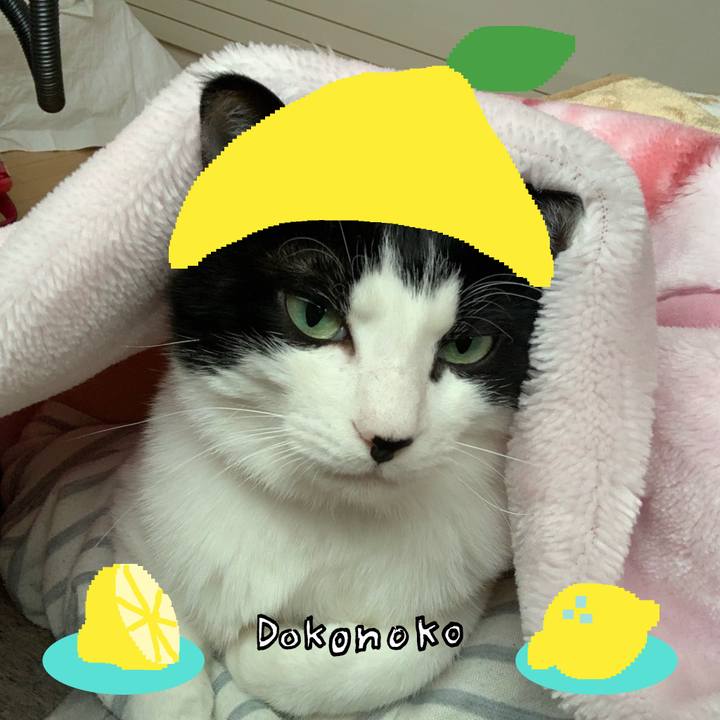 450d0204 3753 41b3 9d66 faf02f31badb 1741578734465