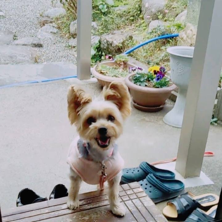 450d04b7 6e55 46a8 957c c54a111ee1d6 1667548496837