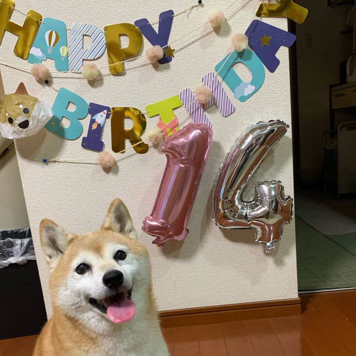 450d0889 bd1a 45db 881b 7f37ee0716e7 1725192262067