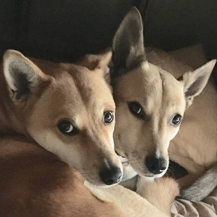 450d4632 6580 4964 80bf c25bba940c3a 1549233280122