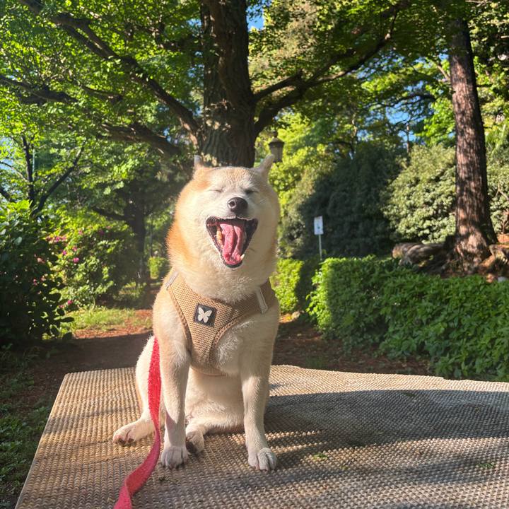 450d54dc aa95 45c5 b1b2 567a98d0cc9c 1746050488033