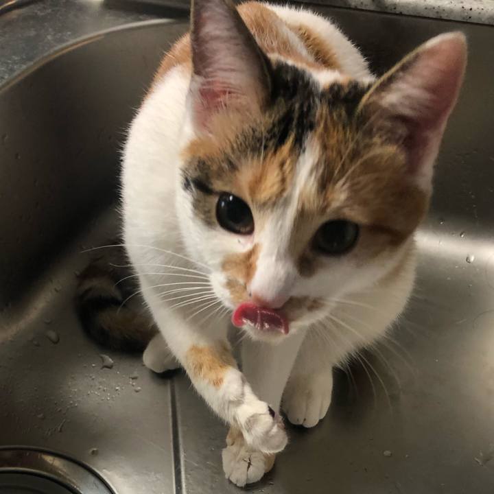 450d6c7f def8 4444 9133 b01b51b323f0 1577230469424