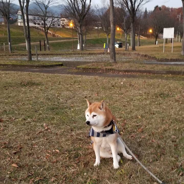 450d6e59 b9d4 49fa 93ba 13154be09667 1637394528534