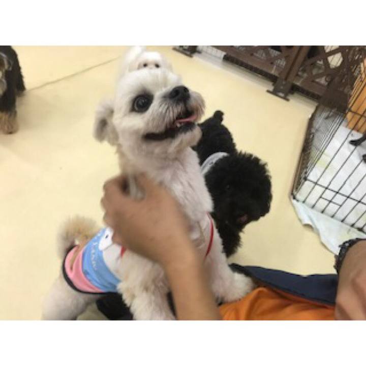 450d72b2 7dda 4718 887b 3f3b8fdfb915 1540381499337