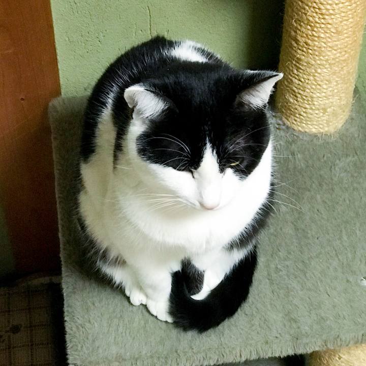 450d76de 51b9 45fc b200 f6ab414905f6 1518101469558