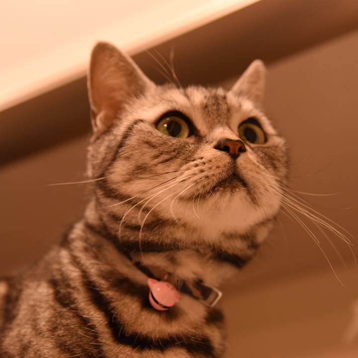 450d8154 0ea4 4d2d 9ee1 d5c5f473bab8 1579571005504