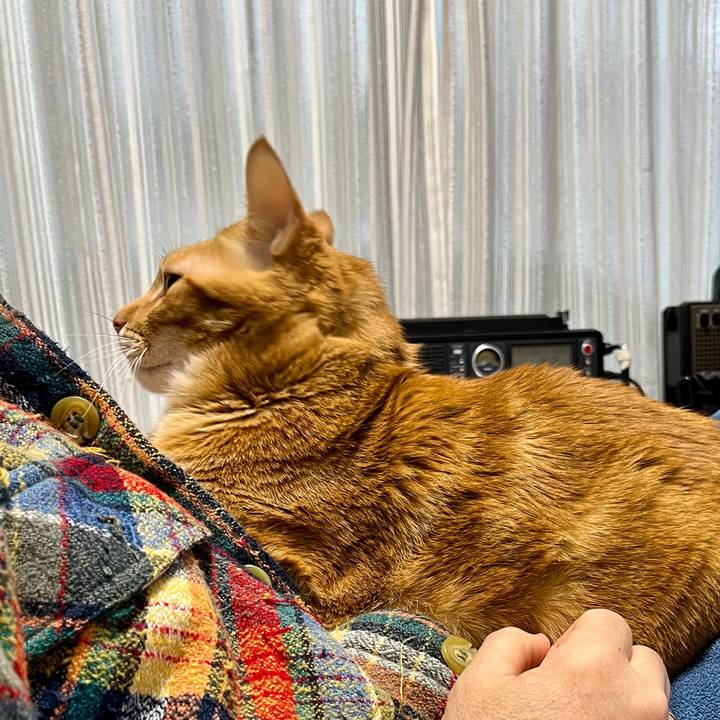 450dcdc6 413d 4f2f bc75 9961522b55dc 1707774823337