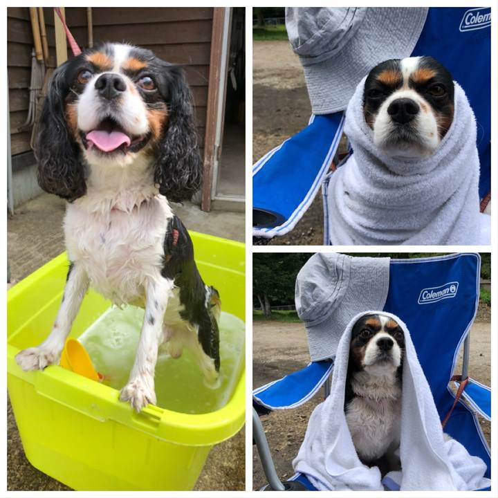 450e01aa 1860 4acb a541 7093b9e2ef99 1533360025868