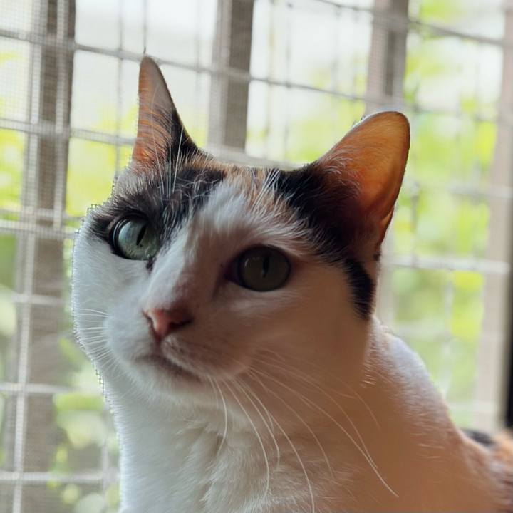 450e1463 e226 4b0b af4c d35ddf4e772e 1688436078554