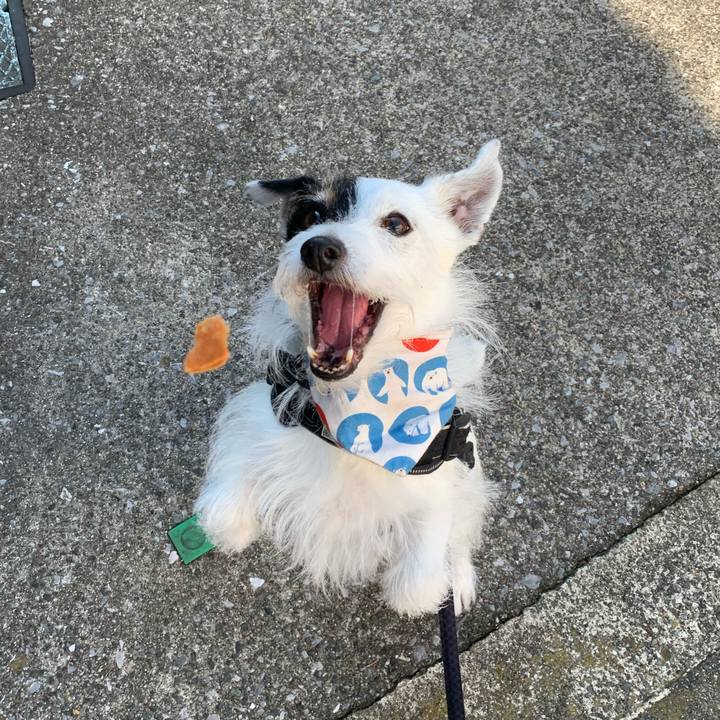 450e4376 7ee3 4b11 ad5b 098ea997f956 1754262244559