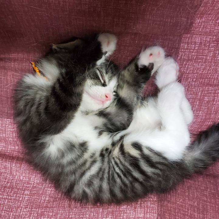 450e5de8 4b06 43fe 9513 acbad2c4fb84 1625689075790