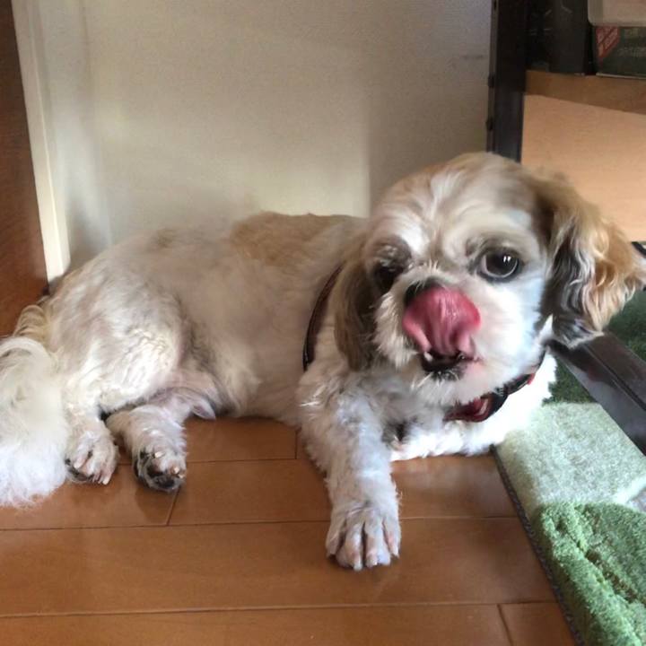 450e8cb6 0ca2 40f6 9c63 06338f535a50 1599774425386