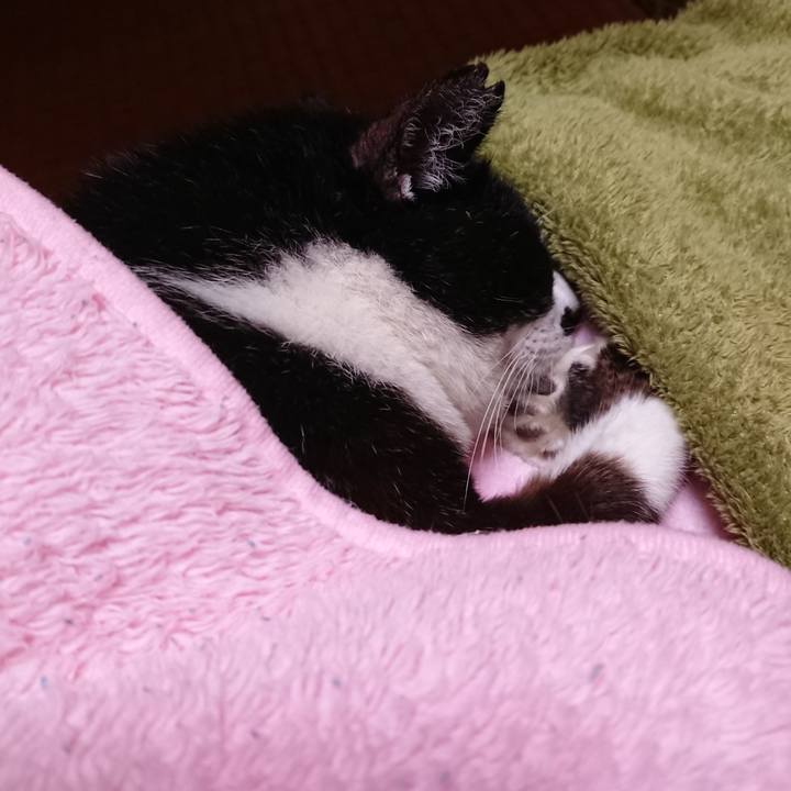 450e9f3a ccd2 47d2 b1da 749541100a66 1634816225504