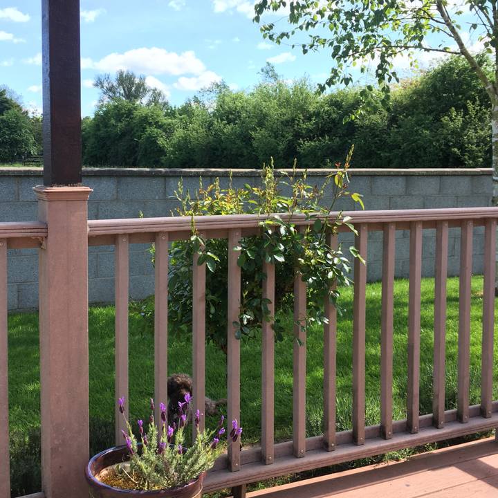 450ecf87 1537 4015 9ea7 86e0e57d2f35 1588948522036