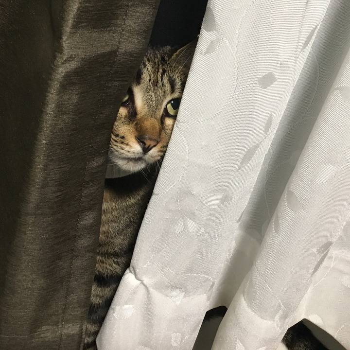 450f01a0 18d5 4cf2 9665 506386d3a69e 1532601251724