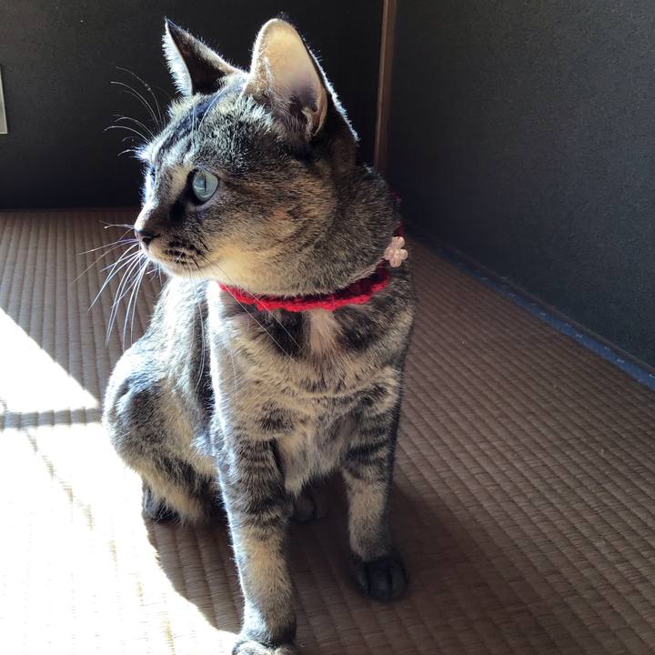 450f523d 73ad 4afc 8e54 06b16031eda8 1613192441943