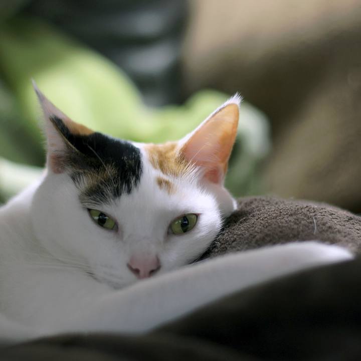 450f862a 0b60 4ded ac77 b49ad63de04a 1634343496111