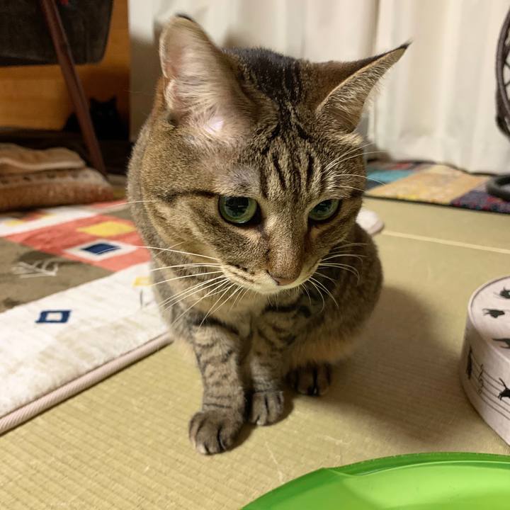 450f89eb d30c 41fb a1c5 4988289fa642 1572094529764