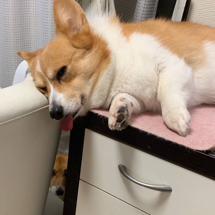 450fa3a0 d93d 4943 9318 2aa4d4284211 1565503659686