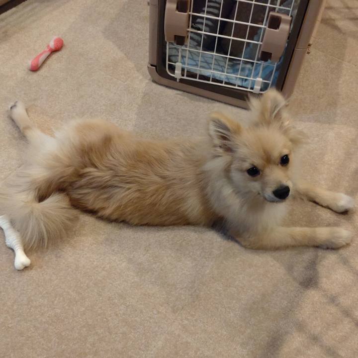 450fa85a eb79 4e84 af79 69fd99a5f475 1730417883024