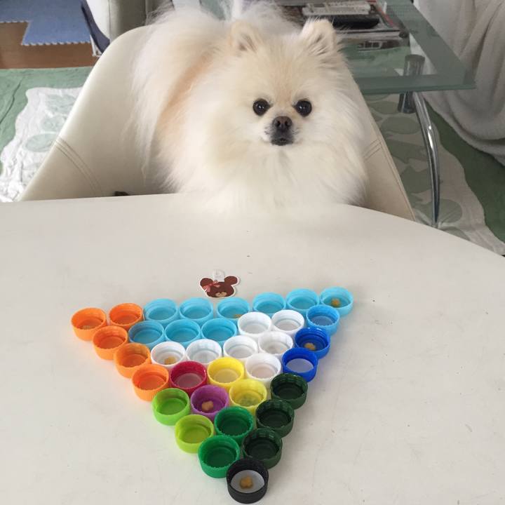 450fa9cd 915e 4ed6 96a0 695acce5a385 1542857281188